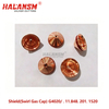 Close-up of HALANSM&reg; HLN-G4020 swirl gas cap showing precision-machined vortex gas channel and CrNi/steel body