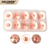 HALANSM&reg; SP-S D28 H15 M11 nozzles packed in trays